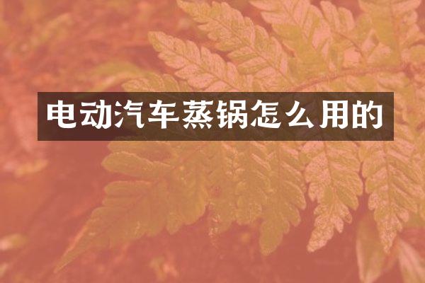 电动汽车蒸锅怎么用的