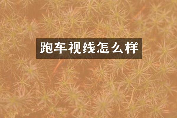 跑车视线怎么样