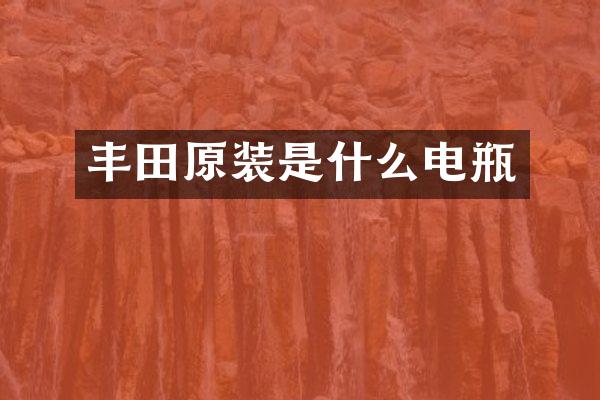 丰田原装是什么电瓶