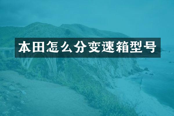 本田怎么分变速箱型号