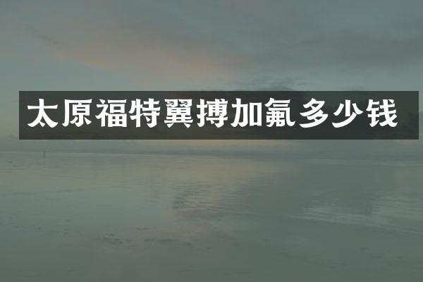 太原福特翼搏加氟多少钱