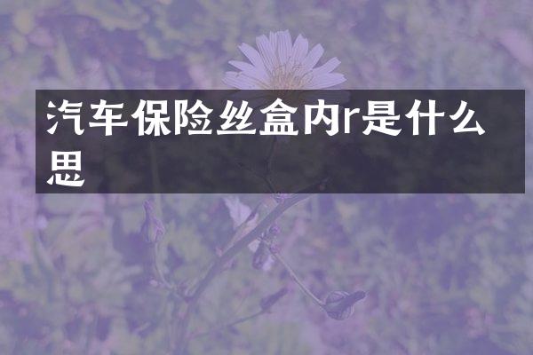 汽车保险丝盒内r是什么意思