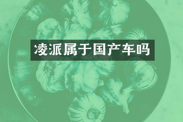 凌派属于国产车吗