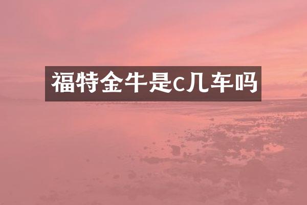 福特金牛是c几车吗