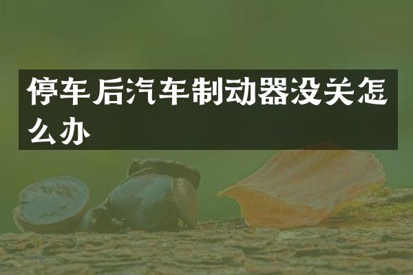 停车后汽车制动器没关怎么办