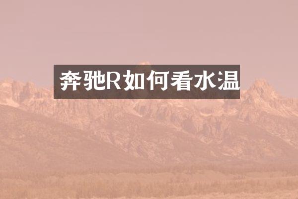 奔驰R如何看水温