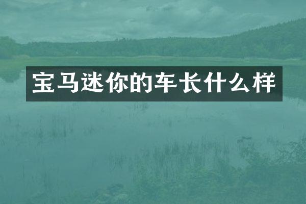 宝马迷你的车长什么样