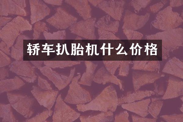 轿车扒胎机什么价格