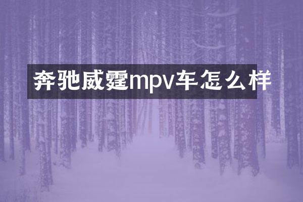 奔驰威霆mpv车怎么样