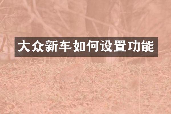 大众新车如何设置功能