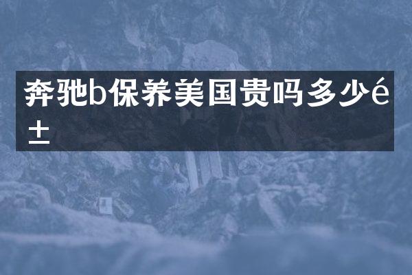 奔驰b保养美国贵吗多少钱