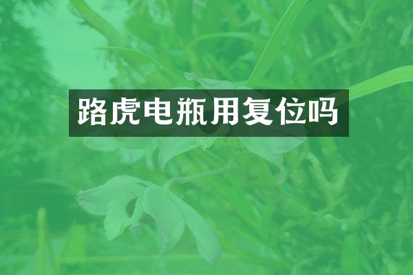 路虎电瓶用复位吗
