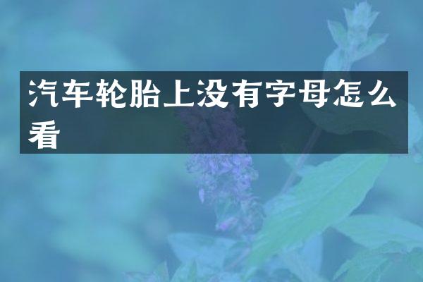 汽车轮胎上没有字母怎么看