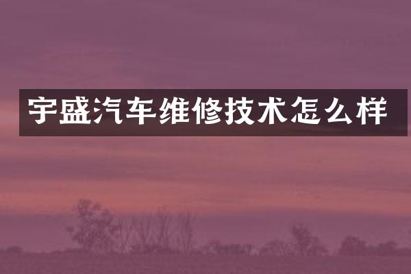 宇盛汽车维修技术怎么样