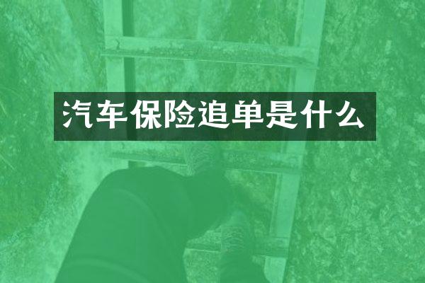 汽车保险追单是什么