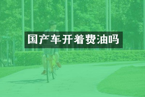 国产车开着费油吗