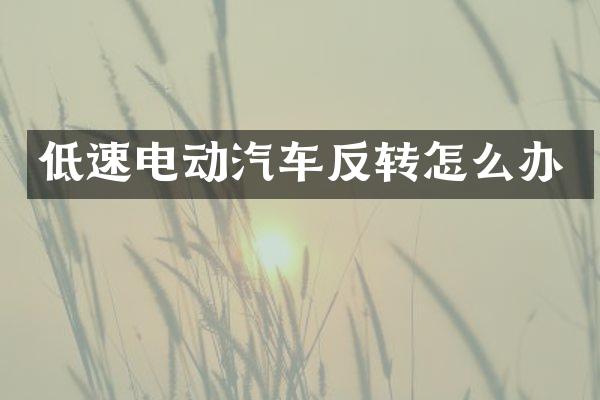 低速电动汽车反转怎么办