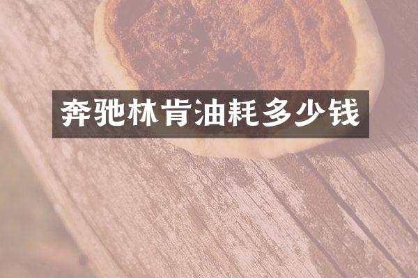 奔驰林肯油耗多少钱