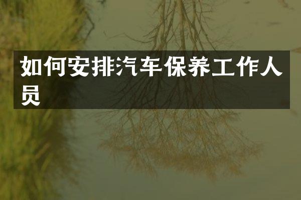 如何安排汽车保养工作人员