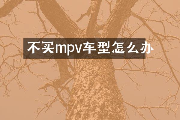 不买mpv车型怎么办