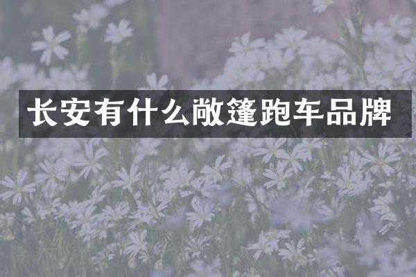 长安有什么敞篷跑车品牌