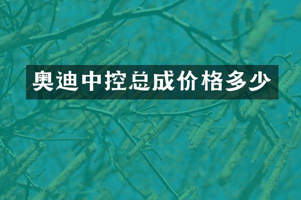 奥迪中控总成价格多少