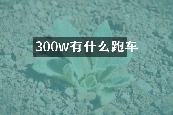 300w有什么跑车