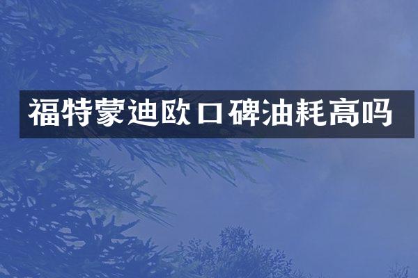 福特蒙迪欧口碑油耗高吗