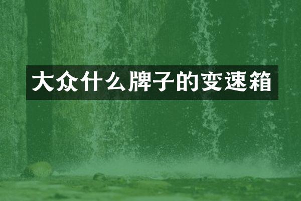大众什么牌子的变速箱
