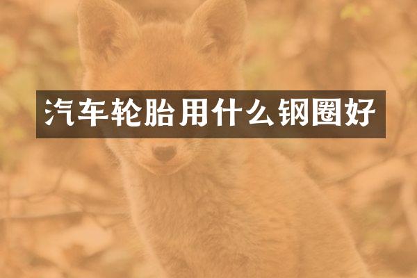 汽车轮胎用什么钢圈好
