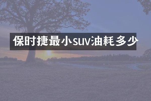 保时捷最小suv油耗多少
