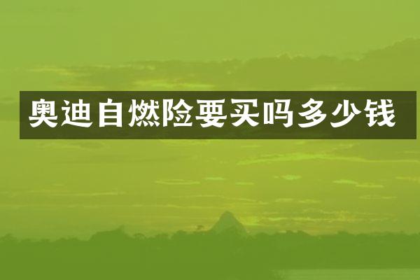 奥迪自燃险要买吗多少钱