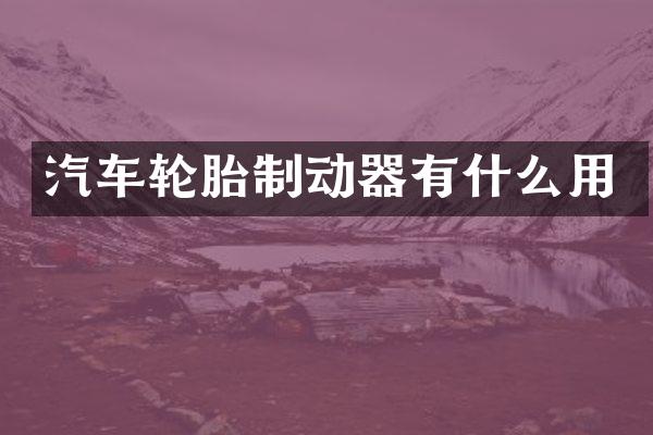 汽车轮胎制动器有什么用