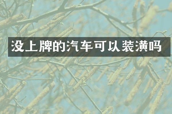 没上牌的汽车可以装潢吗