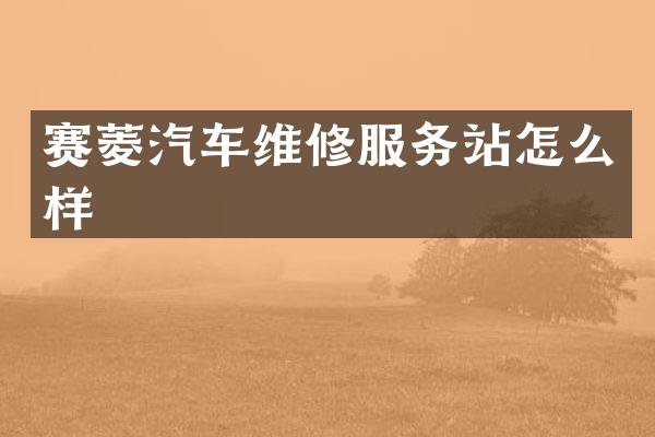 赛菱汽车维修服务站怎么样