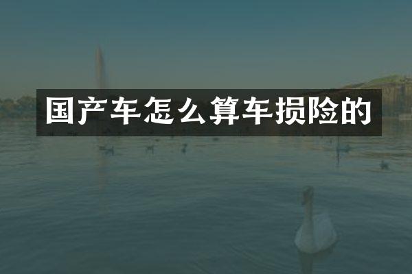 国产车怎么算车损险的