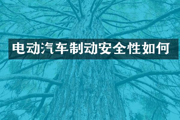电动汽车制动安全性如何