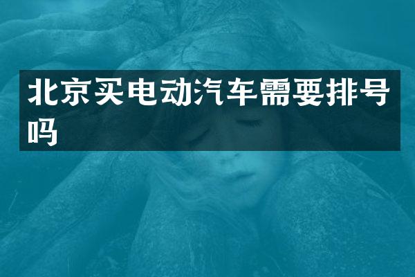 北京买电动汽车需要排号吗