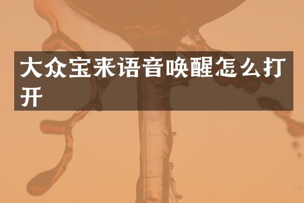大众宝来语音唤醒怎么打开