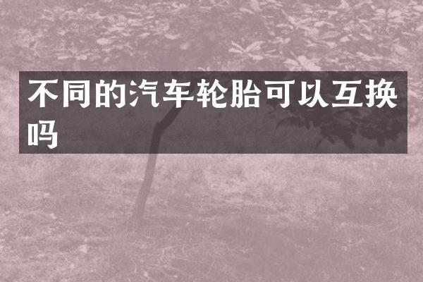 不同的汽车轮胎可以互换吗
