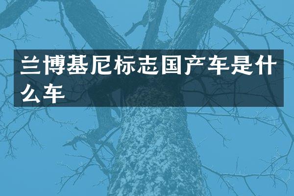 兰博基尼标志国产车是什么车
