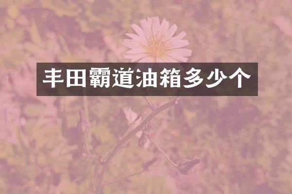 丰田霸道油箱多少个