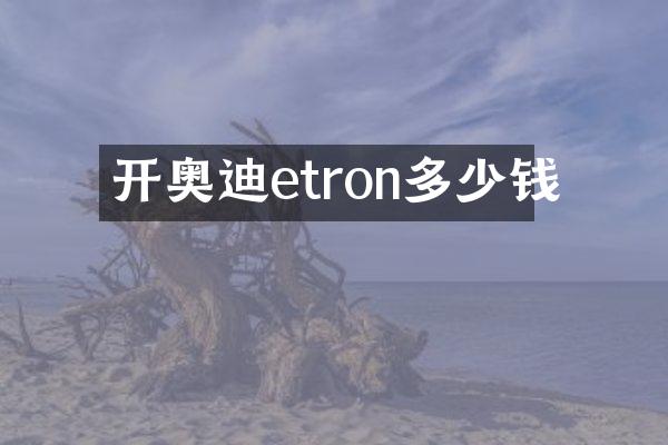 开奥迪etron多少钱