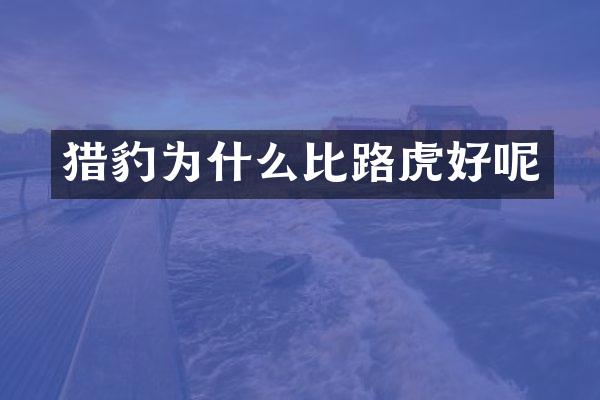 猎豹为什么比路虎好呢