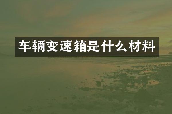 车辆变速箱是什么材料