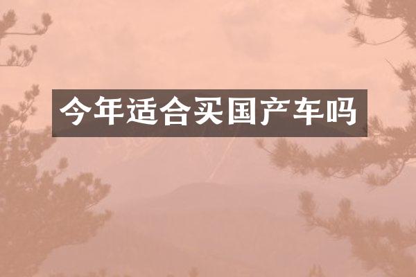 今年适合买国产车吗