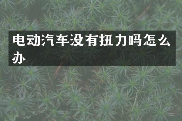 电动汽车没有扭力吗怎么办