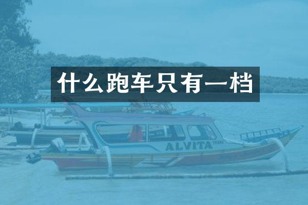 什么跑车只有一档