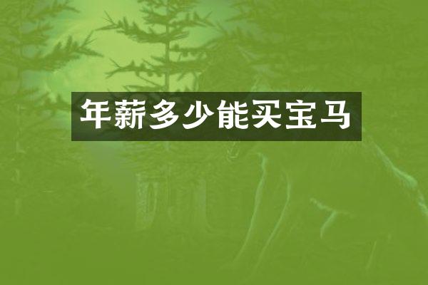 年薪多少能买宝马
