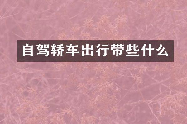 自驾轿车出行带些什么